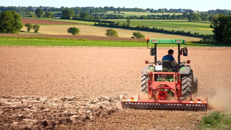 Branża rolnicza szuka alternatywy dla Ukraińców. I coraz chętniej spogląda na rynek azjatycki