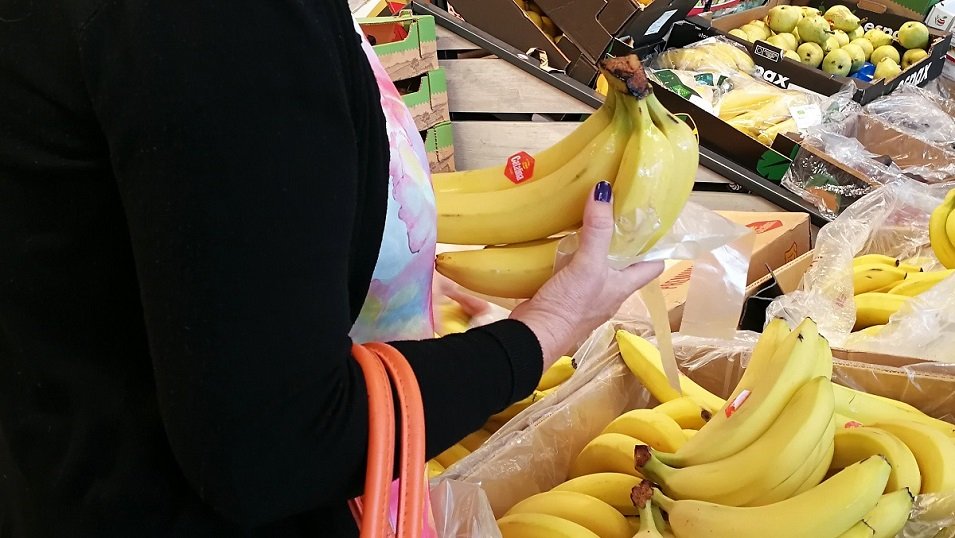 ANALIZA: Sklepy kręcą cenami bananów. Drożeją tylko te „z wyższej półki”. Gorszego gatunku stoją w miejscu ANALIZA: Sklepy kręcą cenami bananów. Drożeją tylko te „z wyższej półki”. Gorszego gatunku stoją w miejscu