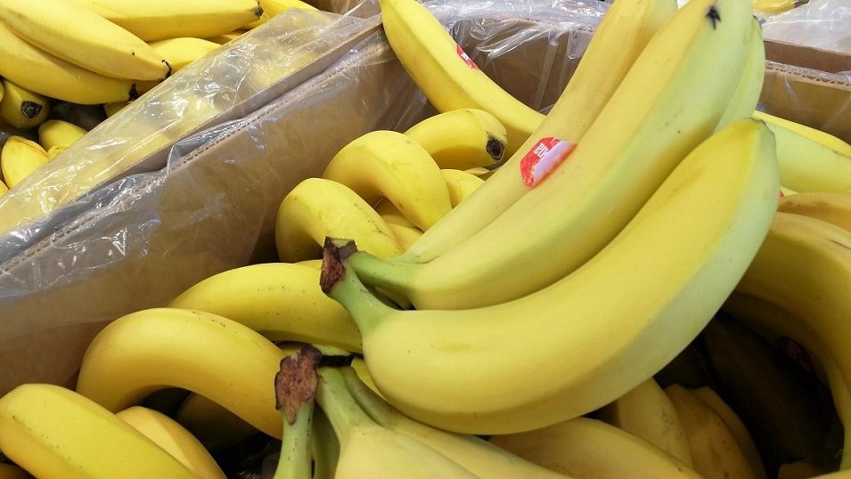 Banany podrożeją nawet o 50%. Plantatorzy ponoszą coraz większe koszty utrzymania produkcji Banany podrożeją nawet o 50%. Plantatorzy ponoszą coraz większe koszty utrzymania produkcji